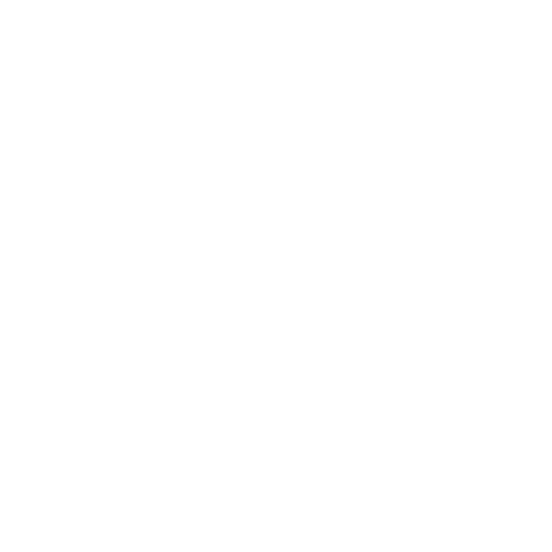 Salon 54 logo